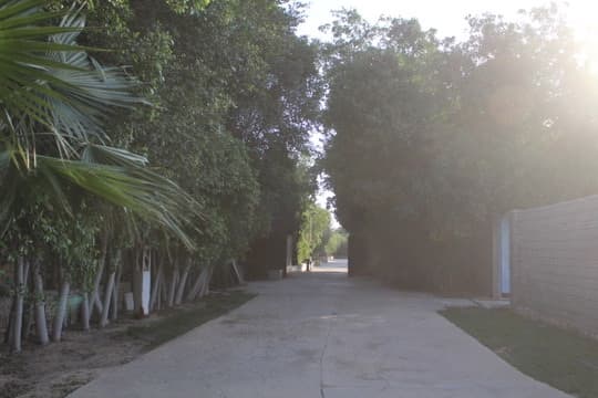 The west colonnade, before the paint.